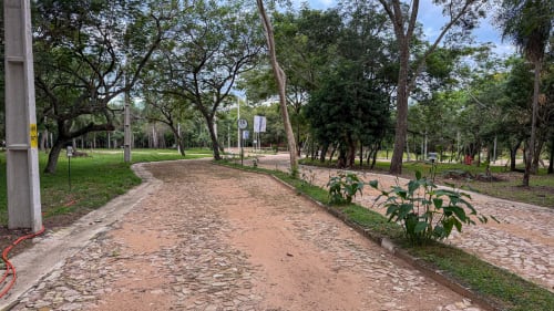 Proyecto 3