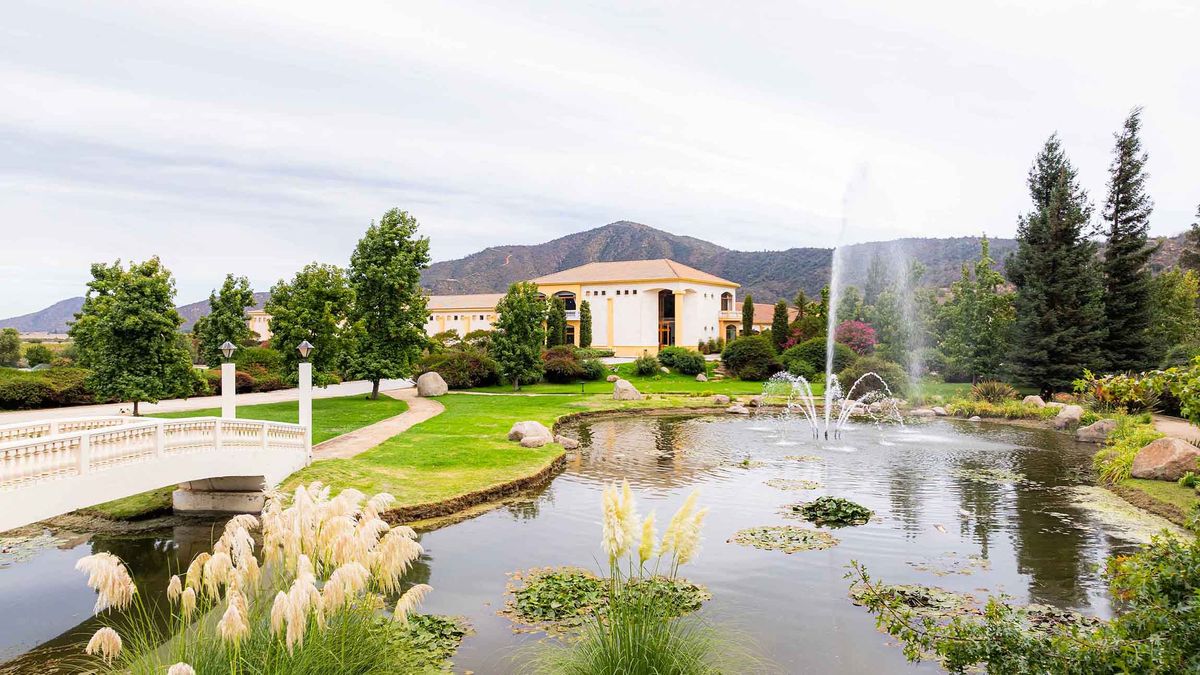 Santiago accueillera The World’s 50 Best Vineyards 2026!