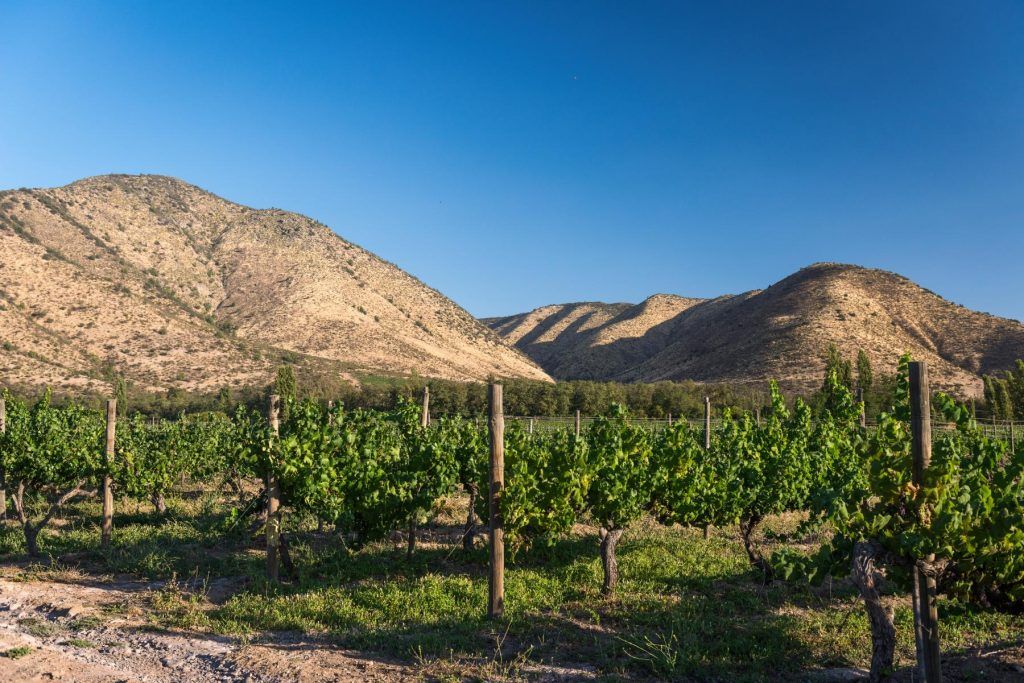 Santiago accueillera The World’s 50 Best Vineyards 2026!