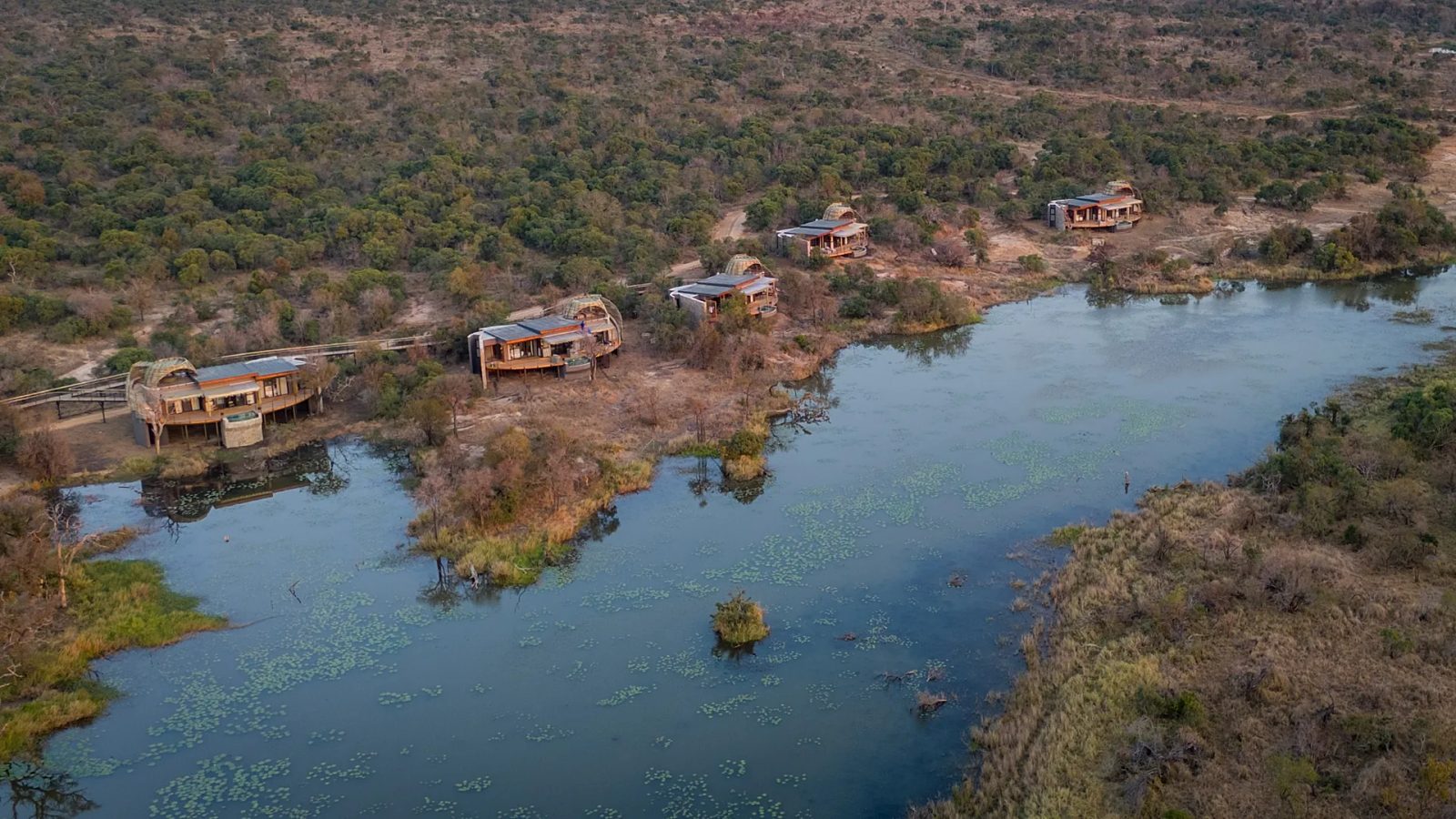 Ancienne réserve de chasse sud-africaine rouvre en lodge safari de luxe - Euronews