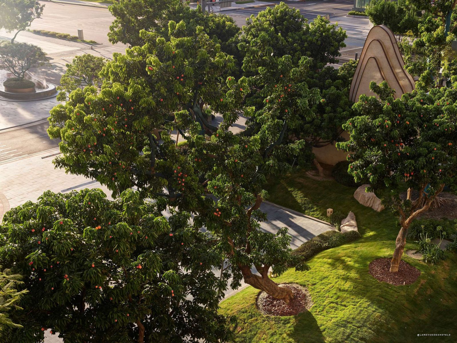 Century-old lychee planted in the Sky Garden on the seventh floor of the Financial City Chengdu · MGallery Collection