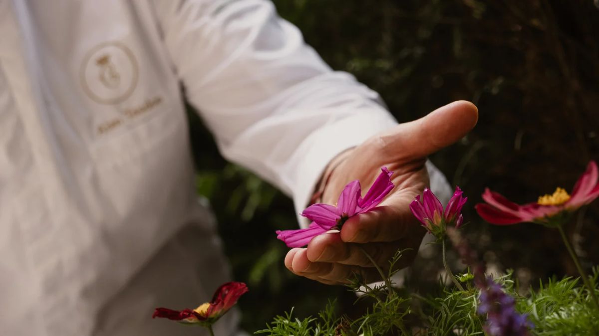 Un repas confidentiel à 250 euros au milieu du potager de l'Hôtel de Crillon: quelques mois après l'arrivée du chef étoilé Alan Taudon, la transformation gastronomique du palace parisien est déjà un succès