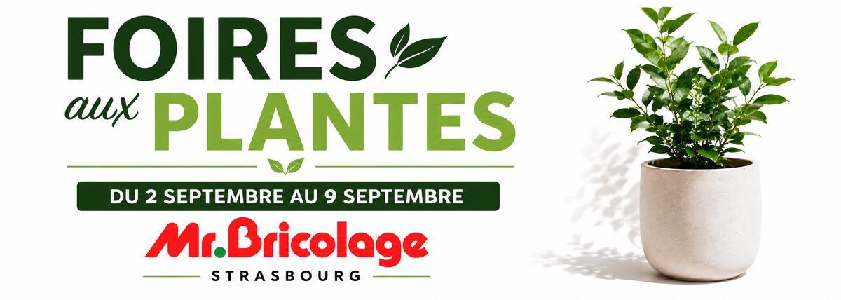 Après 3 ans de travaux, une grande brasserie de style « gothique » ouvre bientôt à Strasbourg!