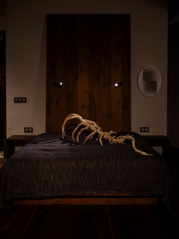 Contemporary artwork hanging in a room at the Hotel Warszawa during the art fair