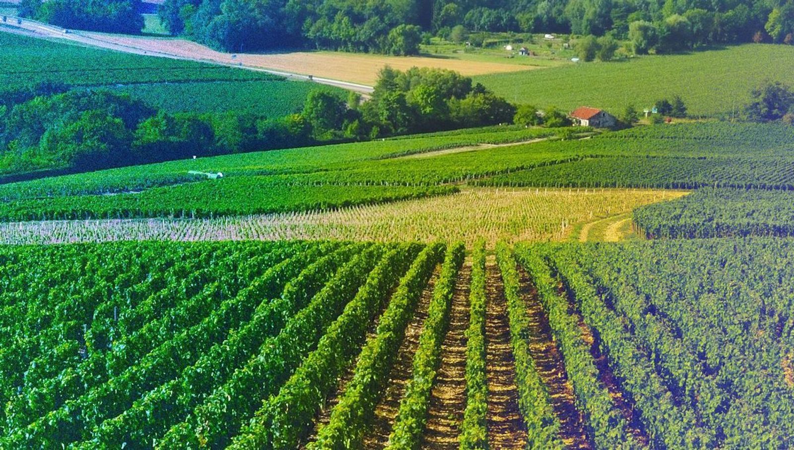Mailly-le-Château, un écrin esthétique préservé - La Revue du Luxe