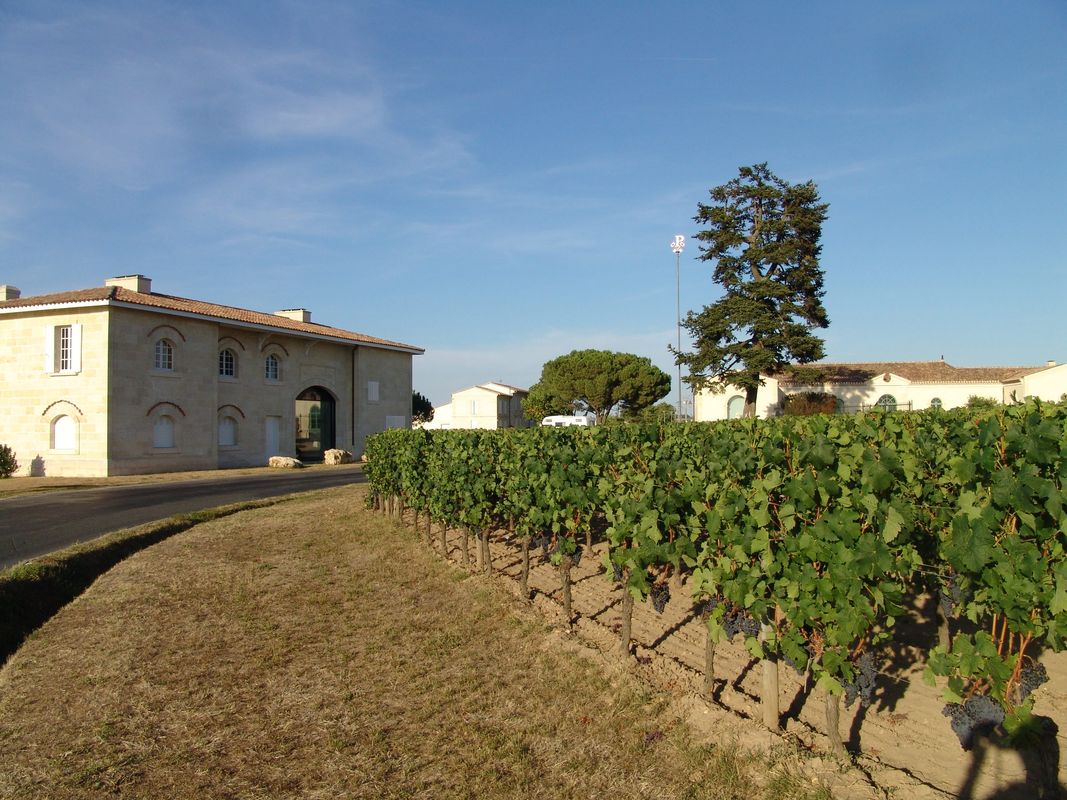 Le Guide Michelin met en lumière dix vigneronnes et vignerons qui façonnent les vins de Bordeaux