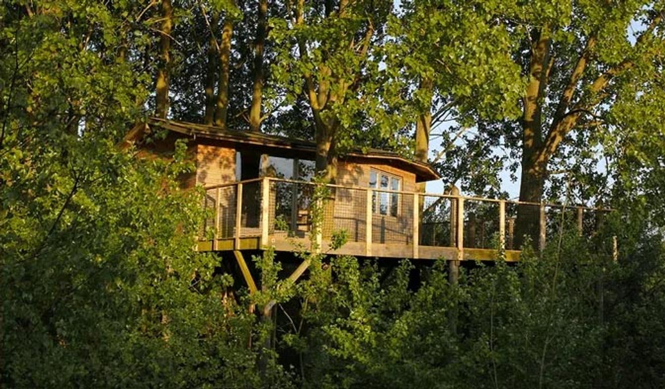 À 20 minutes de Lille, tu peux aller dormir dans une cabane perchée dans les arbres - Lille Addict