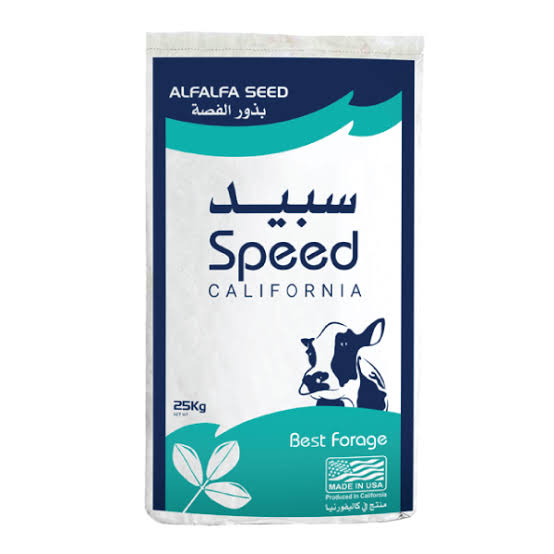 speed luzern