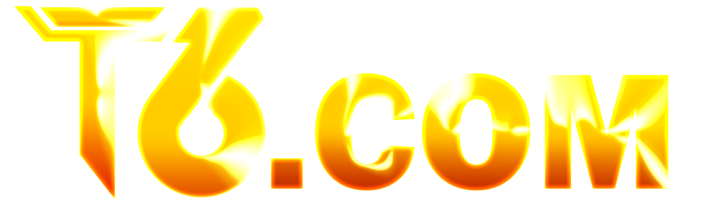 T6