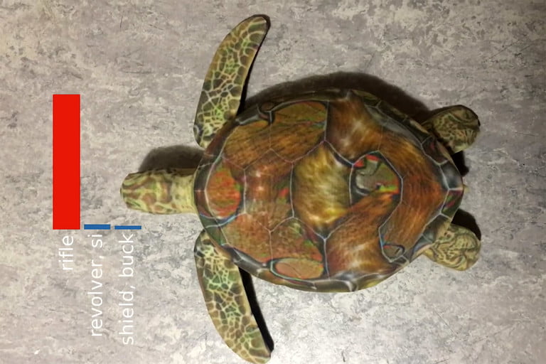 Nhận dạng hình ảnh Rùa được công nhận là súng trường