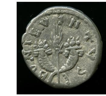 reverse of Septimius Severus RIC IV 369A