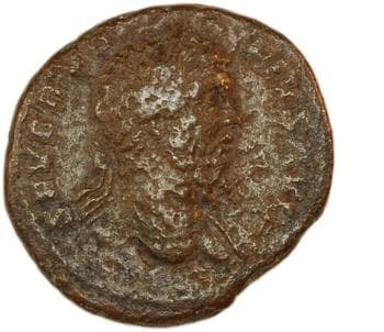 obverse of Septimius Severus RIC IV 782A