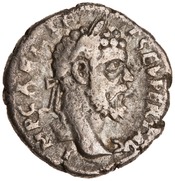 obverse of Septimius Severus RIC IV 347