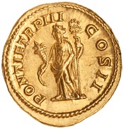 reverse of Geta RIC IV 78B