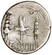 reverse of Roman Republic RRC 544/21