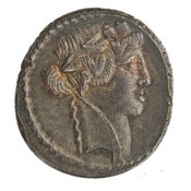 obverse of Roman Republic RRC 494/36