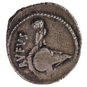 obverse of Roman Republic RRC 463/2