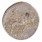 obverse of Roman Republic RRC 317/2