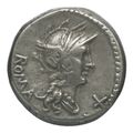 obverse of Roman Republic RRC 246/1