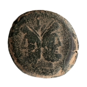 obverse of Roman Republic RRC 114/2