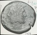 obverse of Roman Republic RRC 147/2