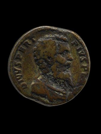 obverse of Septimius Severus RIC IV 660C