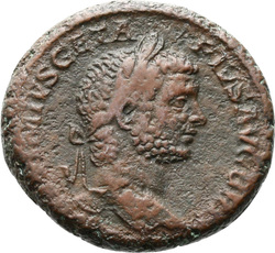 reverse of Geta RIC IV 177A