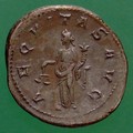 reverse of Gordian III RIC IV 239