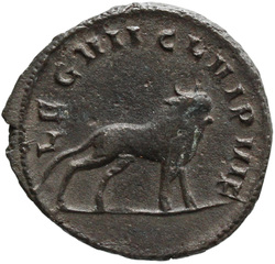reverse of Valerian I RIC V 348F