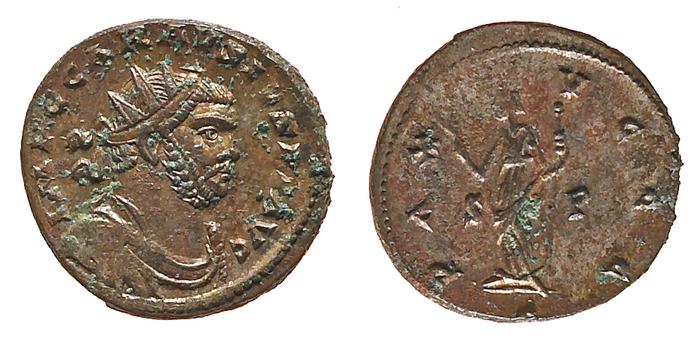 reverse of Probus RIC V 334