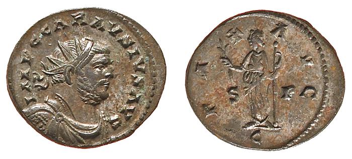 reverse of Probus RIC V 302