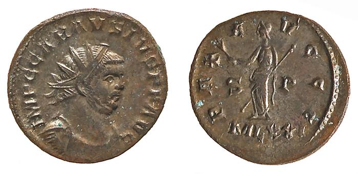 obverse of Probus RIC V 143