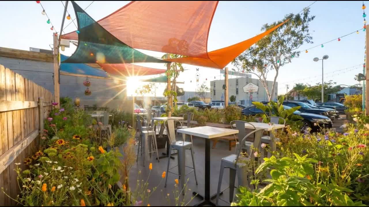 Best Vegan food around Mid-City:Kensington-Talmadge, San Diego, CA