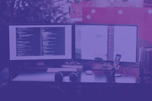 Honeyfield - Web- und Mobile Entwicklung