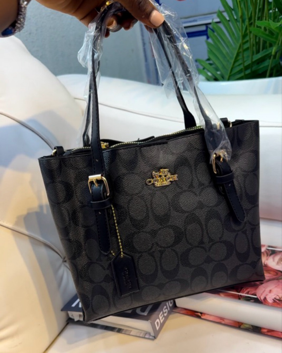 Fancy Tote Coach Bag