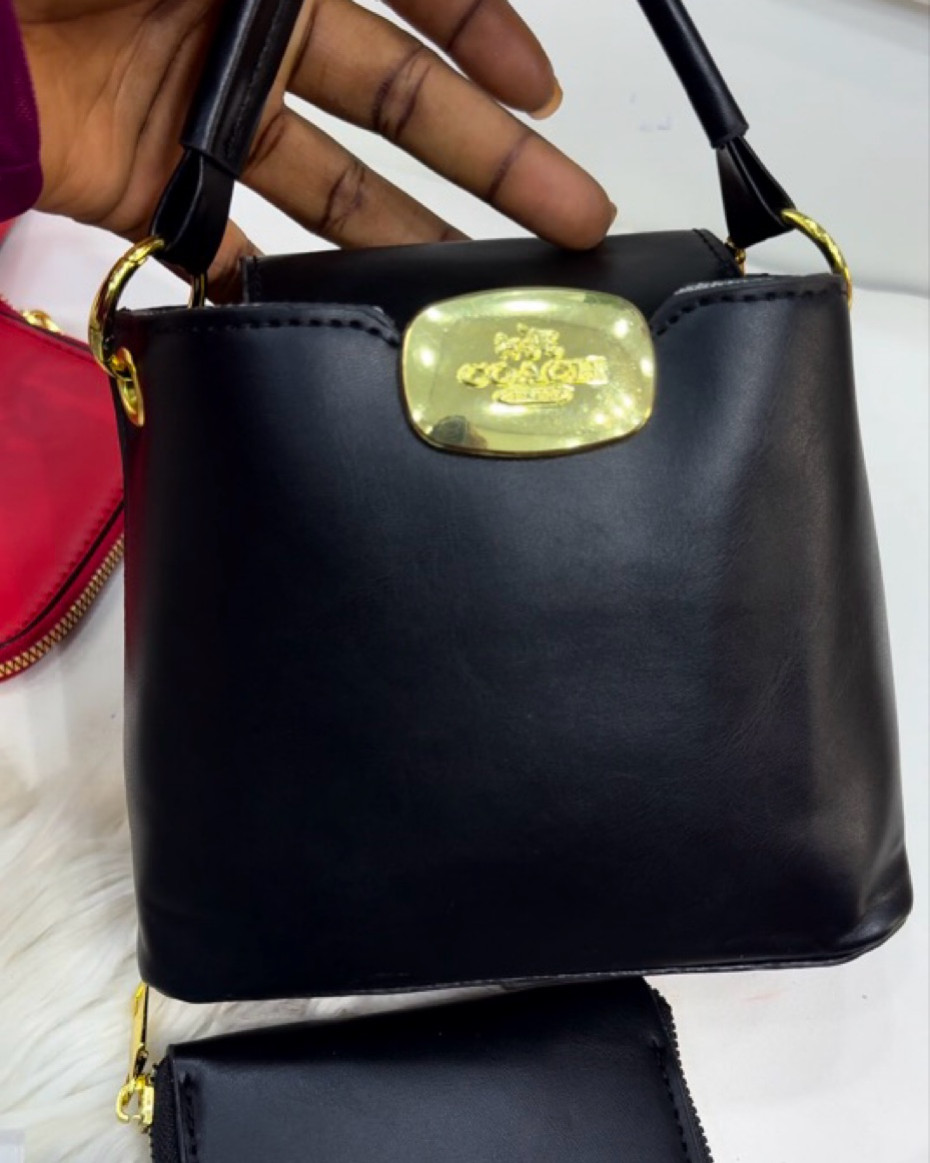 Portable Coach Bag