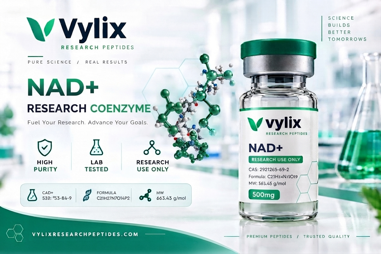 Nicotinamide Adenine Dinucleotide (NAD⁺)