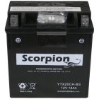 YTX20CH-BS Scorpion 12v 270 CCA Sealed AGM Motorcycle Battery