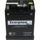 YTX14AH-BS Scorpion 12v 210 CCA AGM ATV & Motorcycle Battery