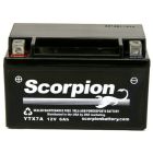 YTX7A-BS Scorpion 12v 105 CCA AGM Power Sport & Motorcycle Battery