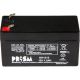 Prism by CSB Battery 12v 1.3 AH Deep Cycle Sealed Lead Acid Battery