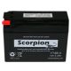 YT4B-5 Scorpion 12v 30 CCA AGM Scooter & Motorcycle Battery