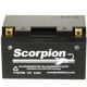 YTZ10S Scorpion 12v 190 CCA AGM Power Sport & Motorcycle Battery