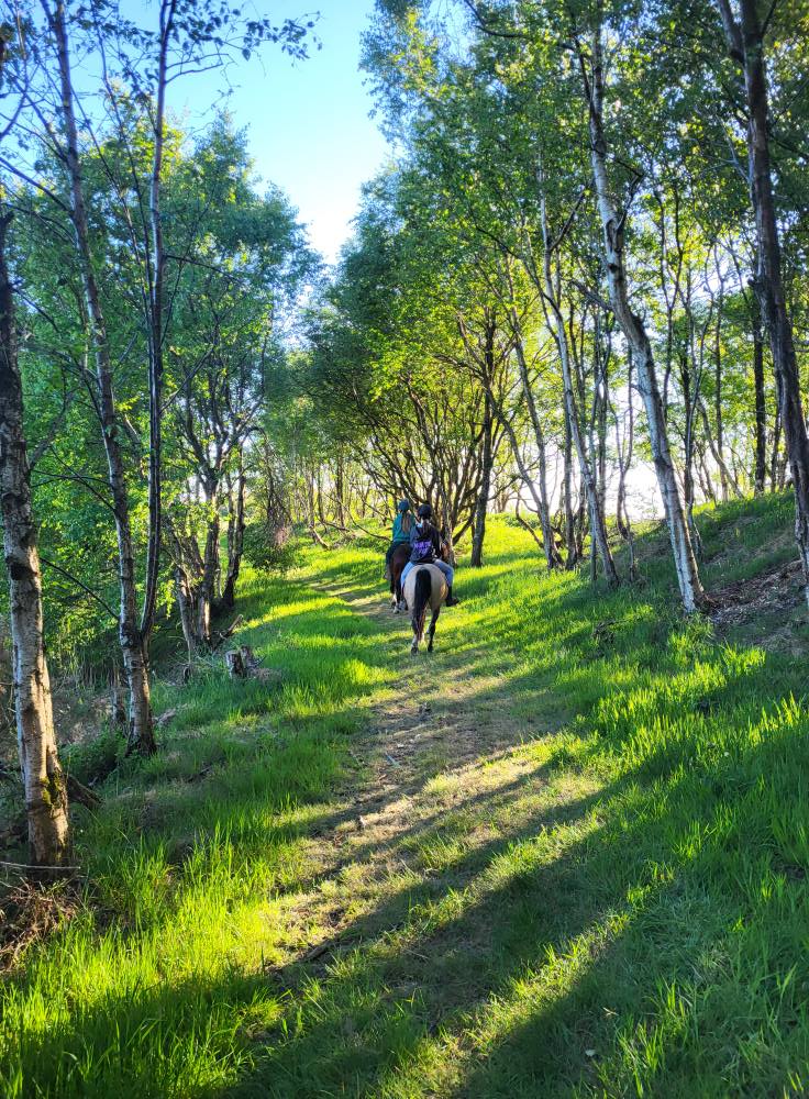 track ride forest