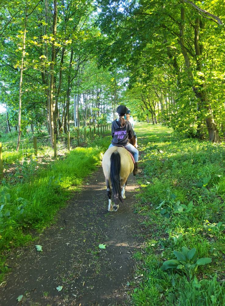 track ride forest 2