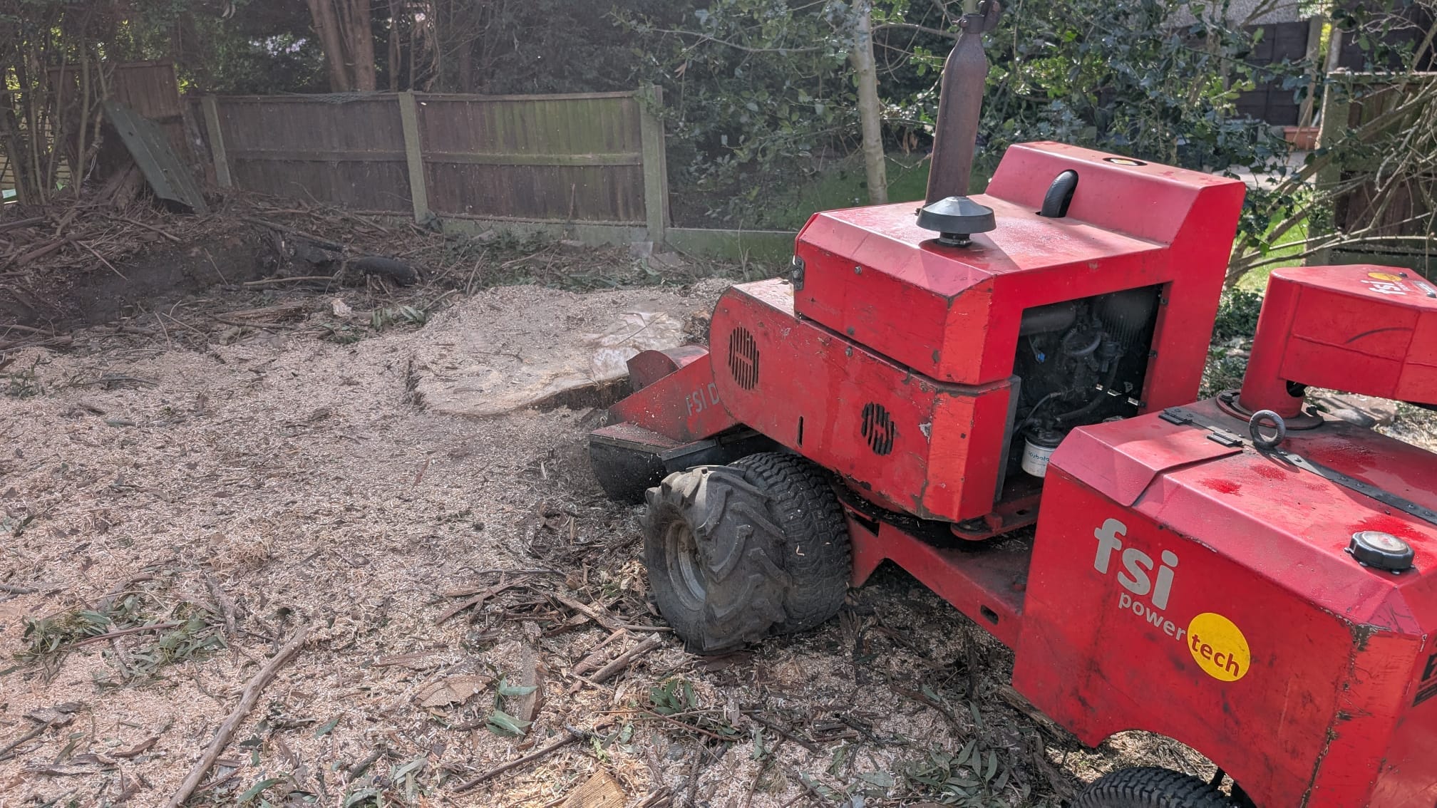 Professional Tree Services