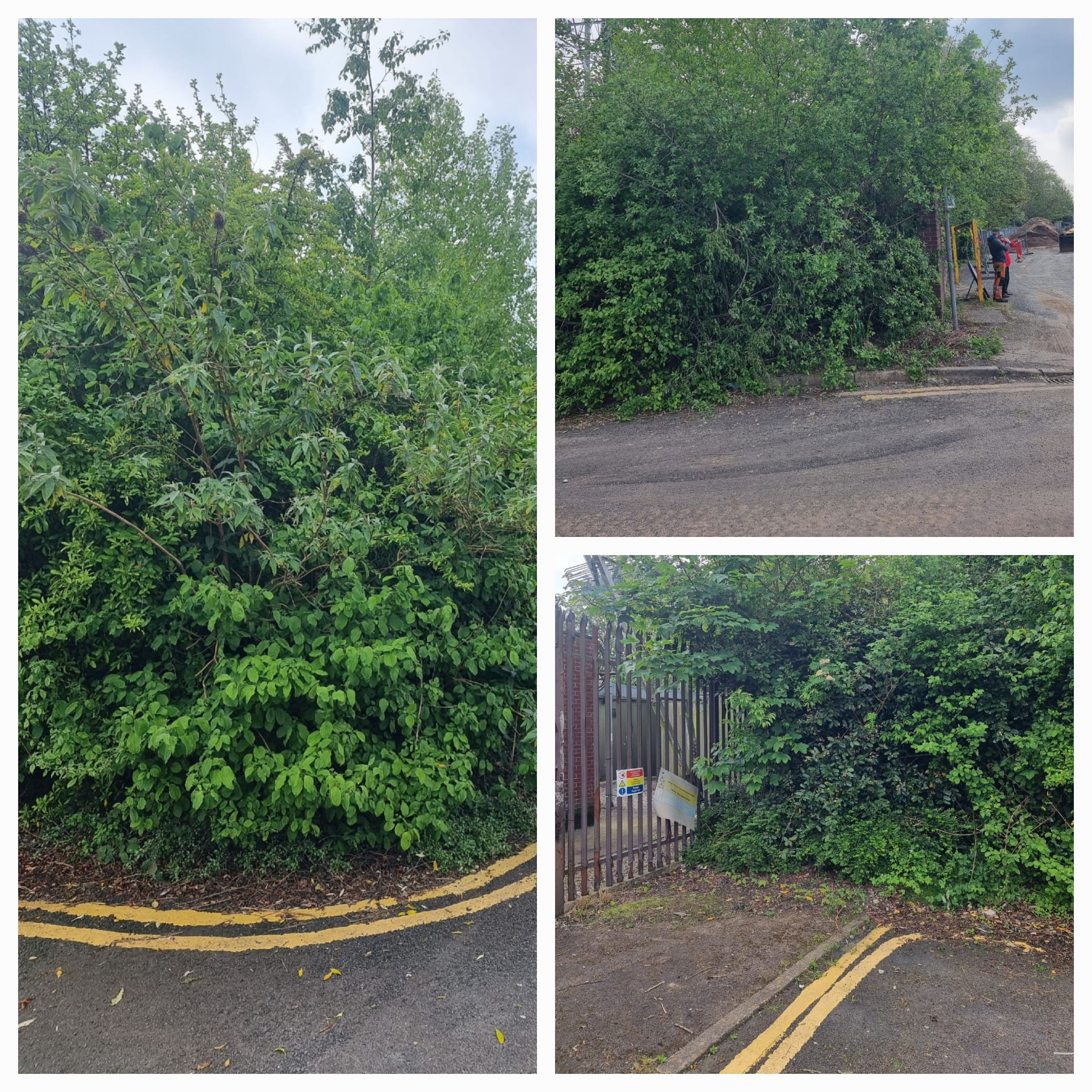 Site Clearance