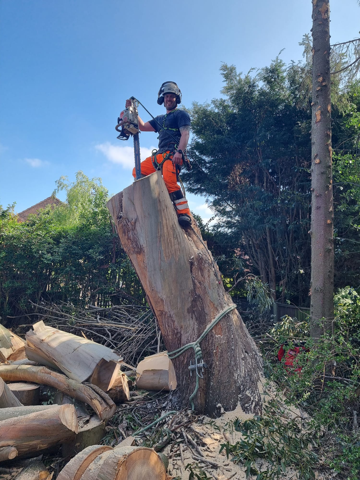 Woodland Management