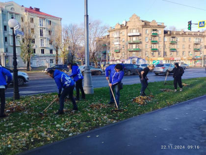 Уборка листвы в Луганске: Молодежный совет и активисты объединяются