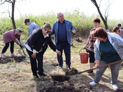 Единороссы высадили Сад Памяти в честь участников Великой Отечественной войны в Антраците